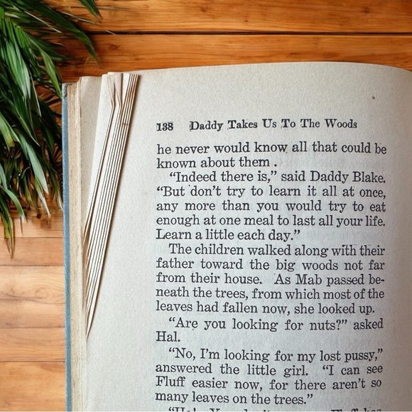 VINTAGE 1914 “Daddy Takes Us to the Woods” by Howard R. Garis - Picture 13 of 16